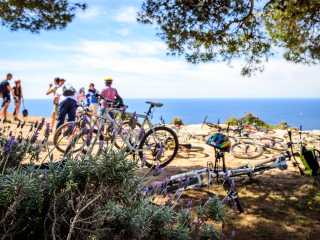 Mountainbike Tour Incentive Majorca