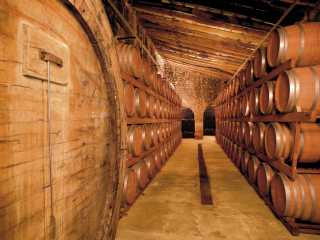 Weinprobe Experience