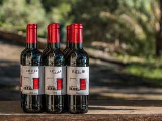 Weinprobe Balearen