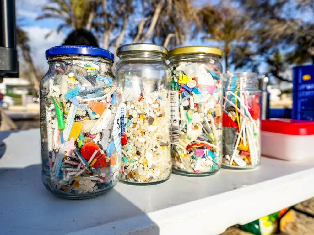beachclean8