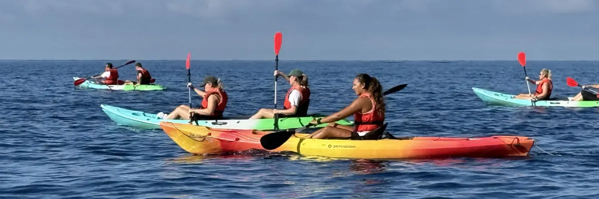 LifeXperiences Formentera Incentives Kayak tour