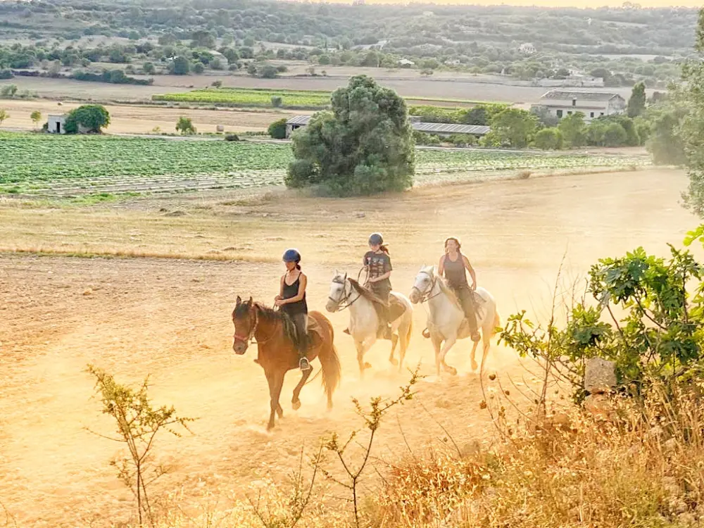 Horseback Ride